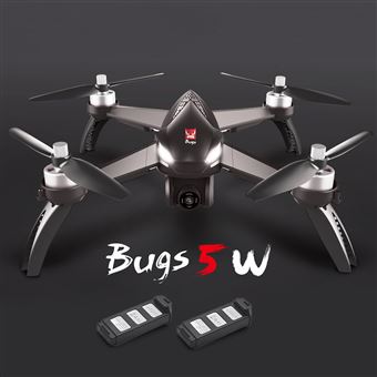 goolsky mjx bugs 5w