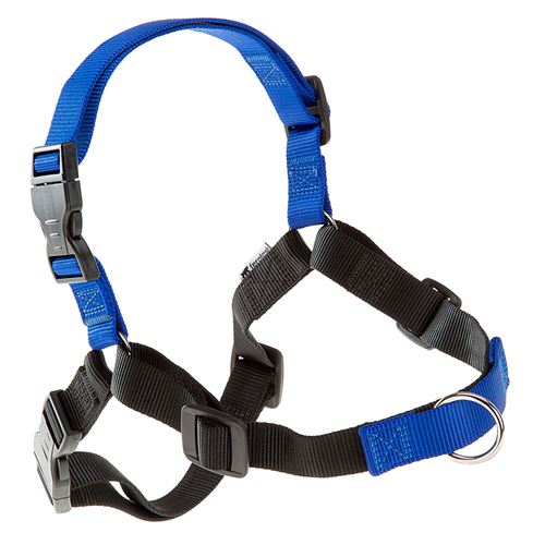 Harnais chien chiens dressage Ferplast Coach crochet frontal contrôle chien
