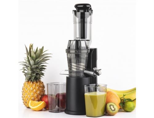 H.KOENIG Extracteur de jus GSX16 Extracteur de jus à la