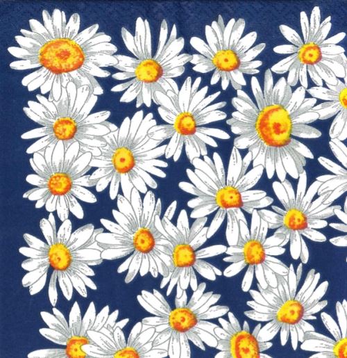 10 serviettes en papier : bleu - marguerites 33x33cm - serviettage - fleurs blanches
