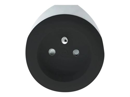 Watt&Co BEWATT - Netspanningsadapter - 12 Watt - 2.4 A - 2 uitgangsaansluitingen (USB, 2-polig) - op kabel: USB - zwart, wit