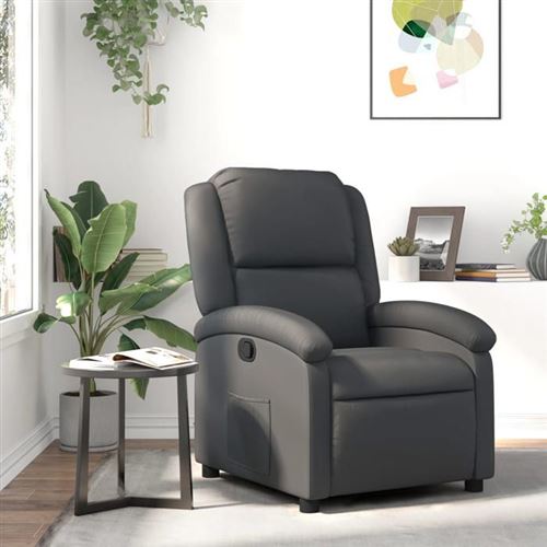 Vidaxl Gris Fauteuil Inclinable - Image 3