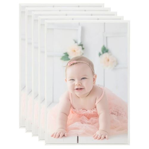 vidaXL Collage de cadres photo 5 pcs de mur table Argenté 21x29,7 cm