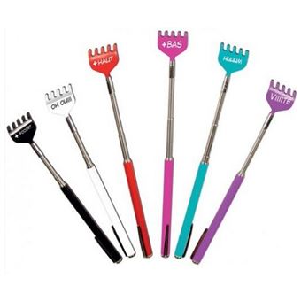 Jeu éducatif Mister Gadget Gratte Dos Télescopique Phrases Humoristique 50 cm