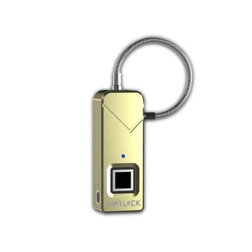 Acheter Mini cadenas à empreintes digitales, Rechargeable par USB, 20  empreintes digitales, IPX2, résistant aux éclaboussures