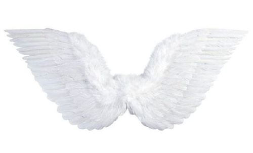 Ailes D Ange Oiseau Blanc Accessoire De Deguisement Achat Prix Fnac