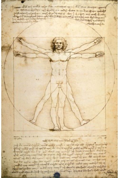 Leonardo Da Vinci Poster - L'Homme Vitruvien VI (91x61 cm)