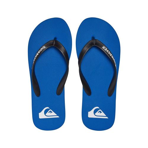 Chaussures Quiksilver Bleu 41
