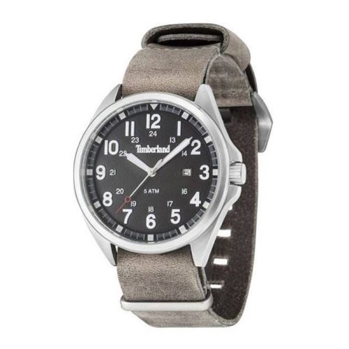 Montre Homme Timberland TBLGS14829JS02AS