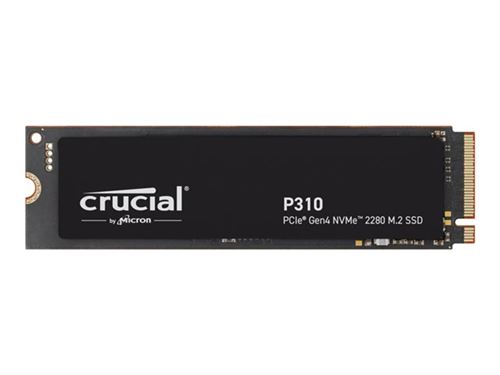 Crucial P310 500 Go