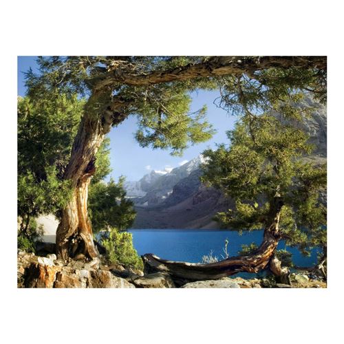 AG Design – Peinture Murale – Rivière – Tapisserie Photo – Poster Photo géant – 180x127 cm – 1 lés – FTSs 0833