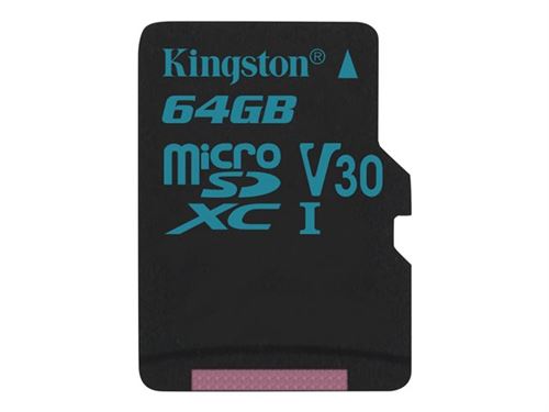 Kingston Carte microSD -( SDCG2/64GBSP ) sans adaptateur SD; Canvas Go! / Capturer l'essence de la vie
