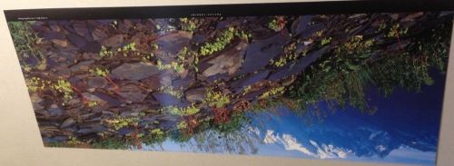 Patrice LABARBE - 26x70 cm - AFFICHE / POSTER