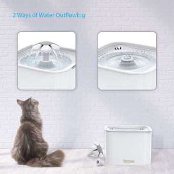 Fontaine à Eau Pour Chat Chiendistributeur Deau Pour Chat
