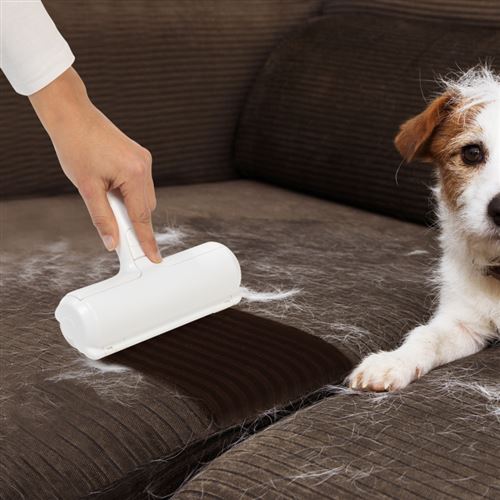 Brosse de nettoyage anti-poils d'animaux réutilisable ramasse poils chien  et chat - Toilettage pour chien - Achat & prix