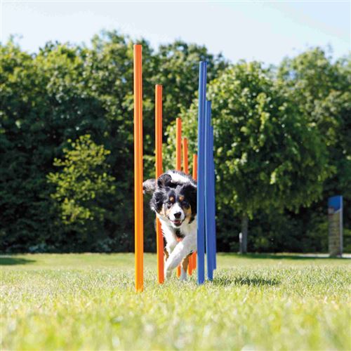 TRIXIE Agility-Slalom "Agility Slalom Dog Activity Set, 12 Stangen" Kunststoff