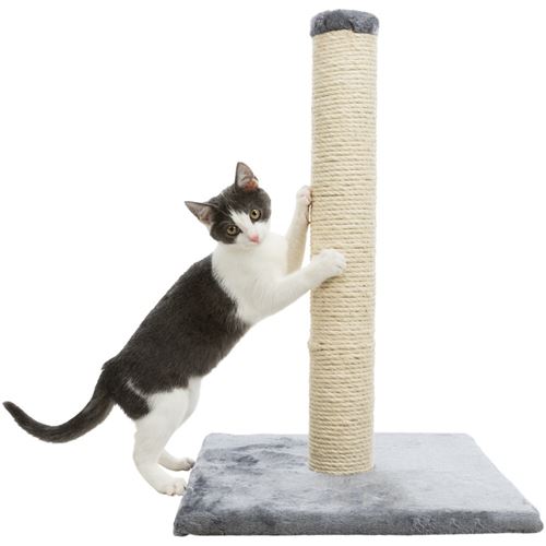 Poteau griffoir Parla, hauteur de 62 cm. pour chats - Trixie - TR-43332
