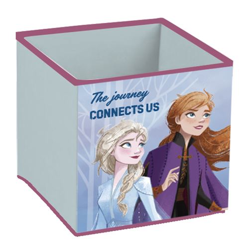 Disney Boîte de rangement congelée 2 24 litres bleu