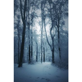 Tableau sur toile paysage glacé 30x45 cm CEANOTHE Décoration Murale Art Décoratif Muraux Peinture Imprimée en HD Salon Chambre Bureau Fabriqué en France - 1