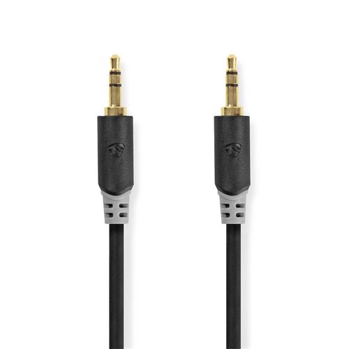 Non Communiqué Câble Audio Stéréo 3,5 Mm Mâle - 3,5 Mm Mâle 1,0 M Anthracite