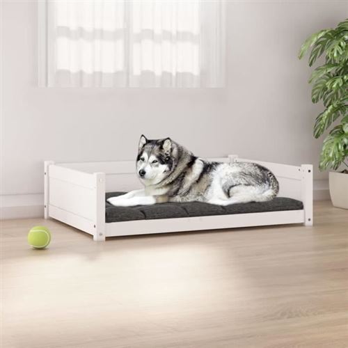 vidaXL Lit pour Chien Blanc 105,5x75,5x28 cm Bois de Pin Solide Canapé Chiot