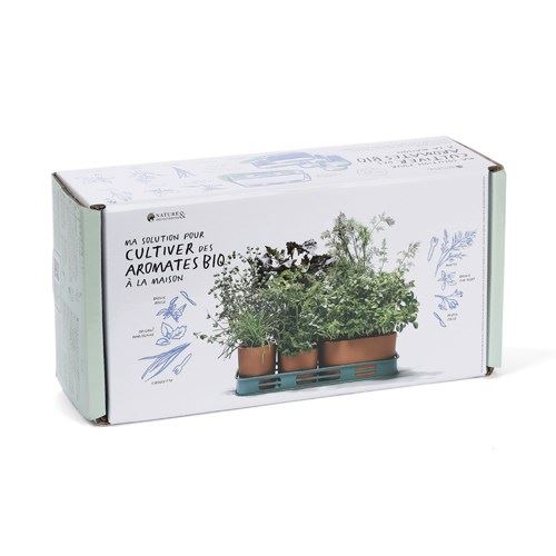 calmogen plant Syngonium chiapense | Plants main image 0