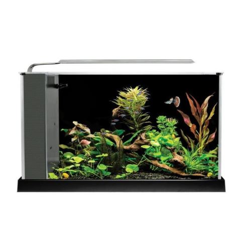fluval aquarium spec v - 19 l - noir