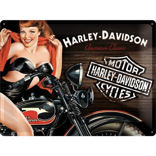 Plaque métal Harley Davidson
