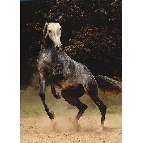 Puzzle 1000 Pièces : Cheval moucheté, DToys