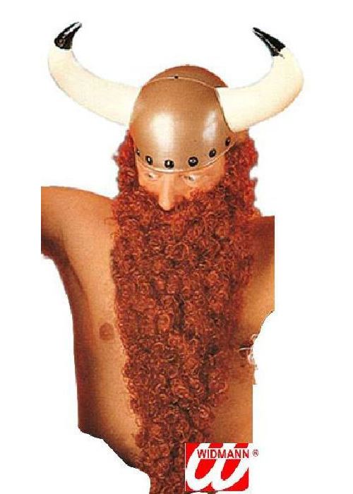 Barbe biker/viking