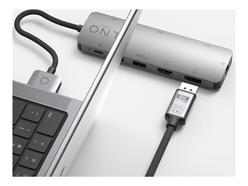 LINQ - Câble DisplayPort - DisplayPort (M) pour DisplayPort (M) - DisplayPort 1.4 - 2 m - support 4K144Hz (3840 x 2160), support 8K60Hz (7680 x 4320)