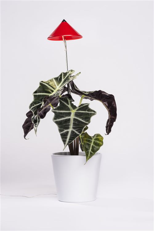 Parus by Venso Lampe à plantes SUNLiTE 7W rouge, lampe de croissance LED avec tige télescopique, lampe de croissance pour plantes d'