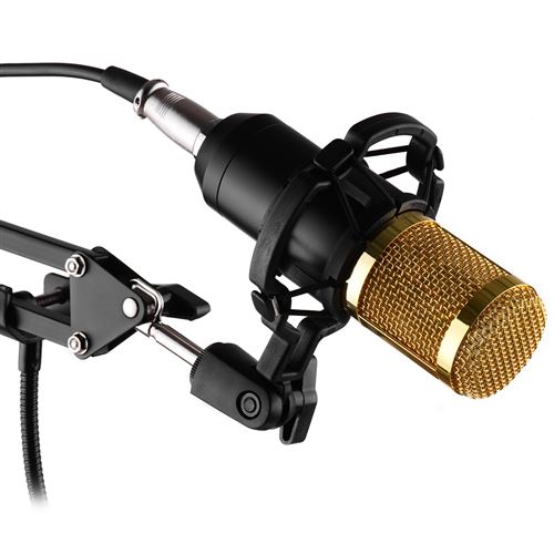 14€02 sur Kit de Microphone à condensateur d'enregistrement de studio de  radiodiffusion professionnelle Micro tête ronde avec carte son externe-Noir  + Or - Microphone - Achat & prix