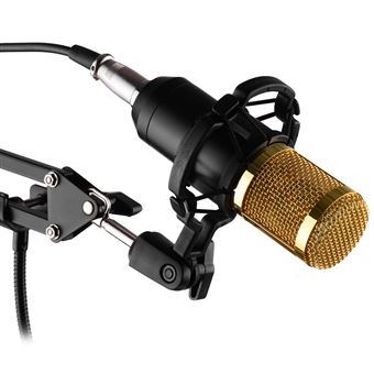 Kit de microphone à condensateur Pro Audio Studio Enregistrement et  Brodiffusion Micro réglable