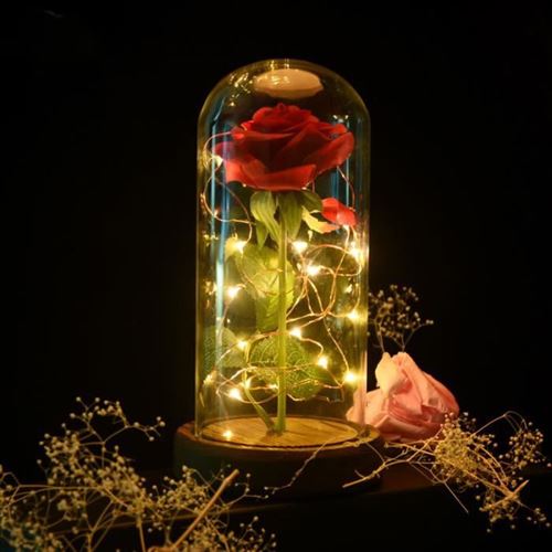 Rose Eternelle "Rose Belle et la Bete "MARSEE avec Soie Rose pour Mariage d'anniversaire de la Saint-Valentin Noël Cadeau de fête des mères
