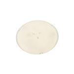 Plateau tournant d=300 74x7591 pour Micro-ondes Brandt