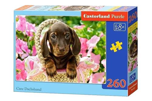 Castorland puzzle Cute Dachshund 260 pièces