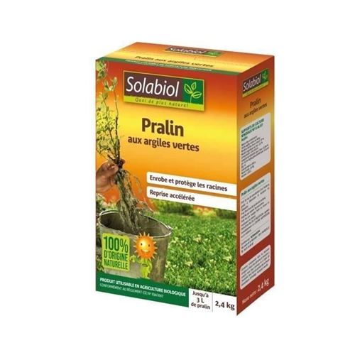 Pralin aux argiles vertes