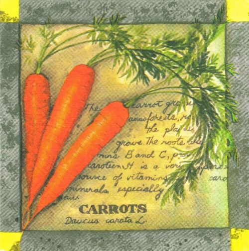 20 serviettes en papier recette de cuisine : carotte 33x33cm - serviettage