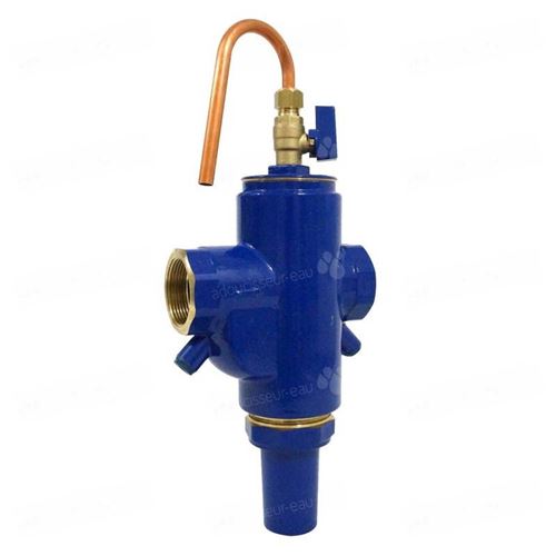 Filtre autonettoyant ARION 40/49 - 11/2 - 50µm - Eau chaude