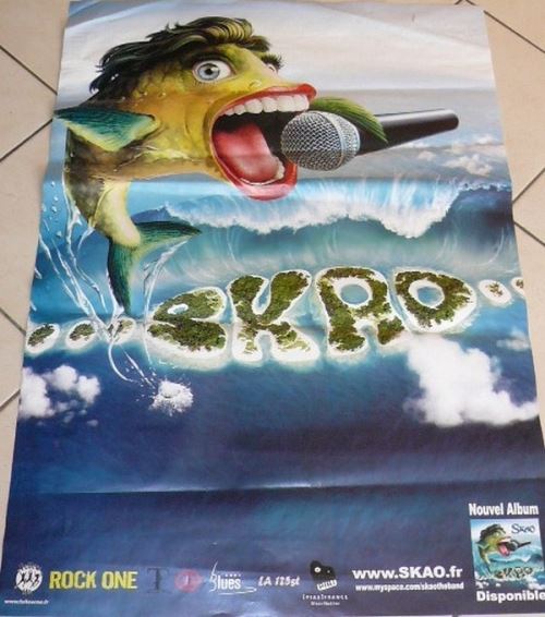 SKAO - 70x100 cm - AFFICHE / POSTER