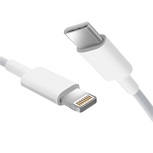 Avizar Câble USB-C vers Lightning, micro-USB, USB-C et Chargeur