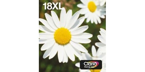Epson 18XL Multipack Easy Mail Packaging - Pack de 4 - 31.3 ml - XL - noir, jaune, cyan, magenta - original - blister - cartouche d'encre - pour Expression Home XP-212, 215, 225, 312, 315, 322, 325, 412, 415, 422, 425