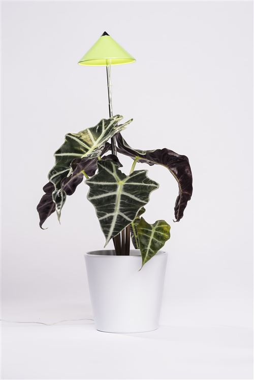 Parus by Venso Lampe à plantes SUNLiTE 7W vert, lampe de croissance LED avec tige télescopique, lampe de croissance pour plantes d'i