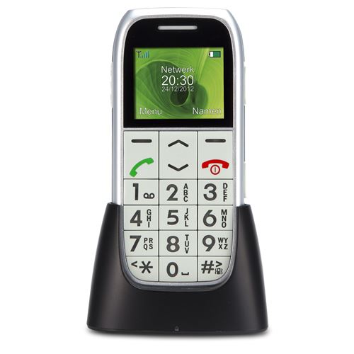 Profoon PM-595 - GSM - téléphone mobile