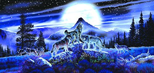 Night Wolves 1000 pc Jigsaw Puzzle by SunsOut