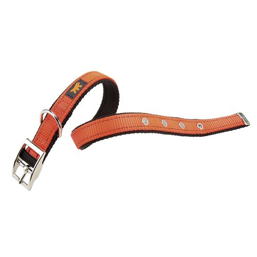 DUAL CF20/43 COLOURS Collier chien A: 35÷43 cm - B: 20 mm Orange