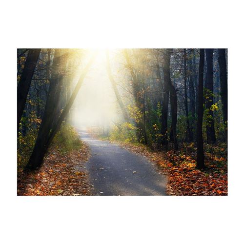 Artgeist - Papier peint - Road through the Forest 100x70