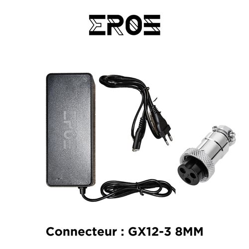  Eroz Chargeur Rapide Universel de Trottinette &Eacute;lectrique pour Batterie 52V 