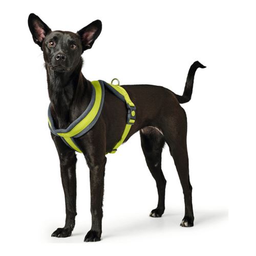 Meilleurs prix pour Harnais Pour Chien Hunter London Comfort Xs-S 39-47 Cm Citron
